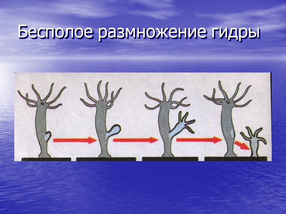 Кракен сайт работает