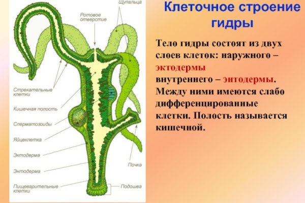 Как войти на кракен