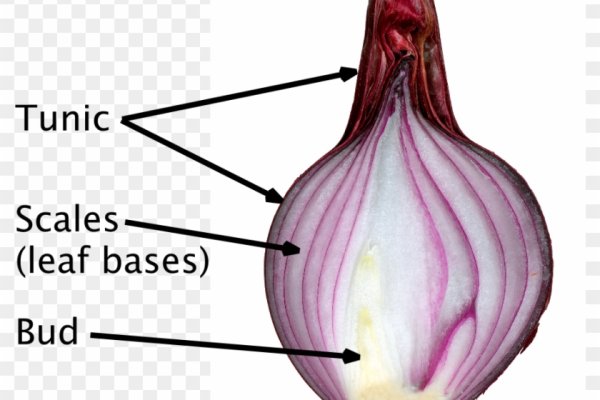 Забыл пароль кракен